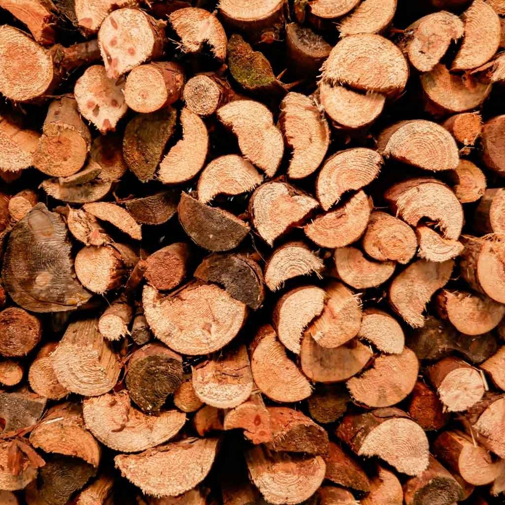 Cheminée avec feu de bois